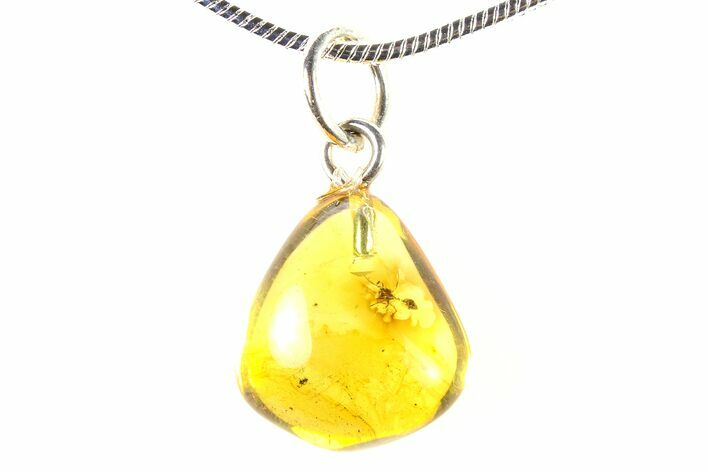 Polished Baltic Amber Pendant (Necklace) - Contains Ant! #321270
